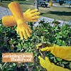 ITC Gauntlet Gardening Gloves Thorn Proof, Heavy Duty Leather Gardening