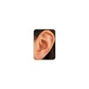 HANLI Flat Back Earrings for Women Silver Hammerhead Shark Stud