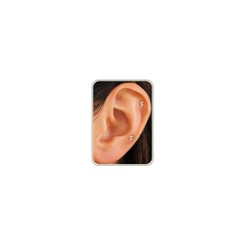 HANLI Flat Back Earrings for Women Silver Hammerhead Shark Stud Earrings