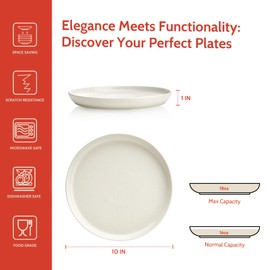 Porcelain Dinner Plates Set of 6, 10 Inch Salad Serving Modern Round Dishes - Dishwasher, Microwave, Oven Safe, Scratch Resistant, Smooth Glaze, Dove Gray