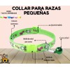Collar Perros Y Gatos Ajustable Raza Pequeña Kit 6 Piezas