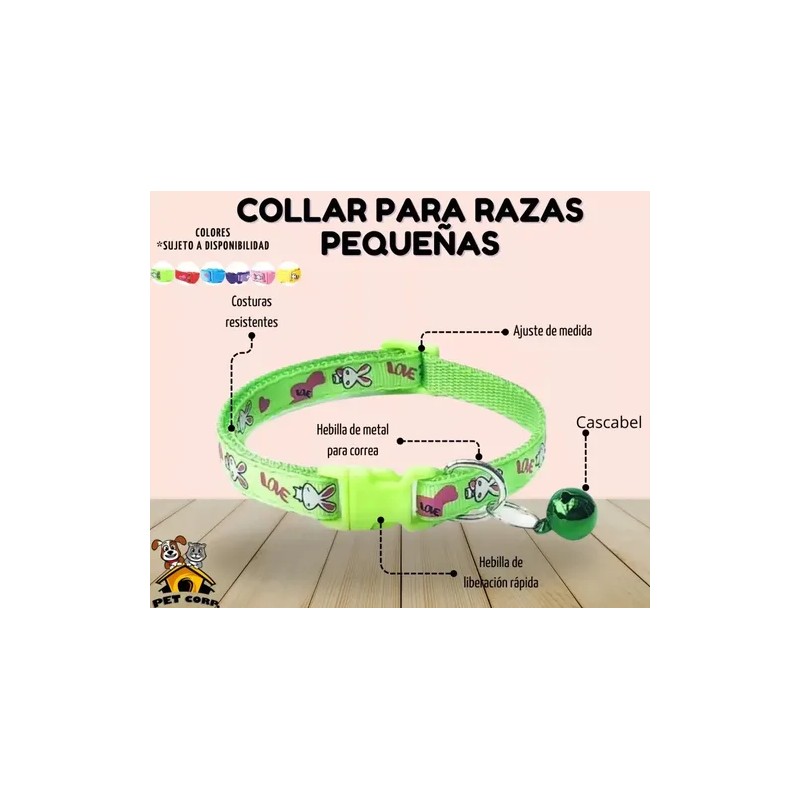 Collar Perros Y Gatos Ajustable Raza Pequeña Kit 6 Piezas
