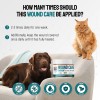 Silver Wound Care Ointment for Dog & Cat Skin Relief