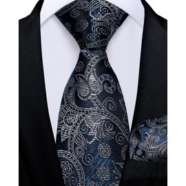 DiBanGu Boys Adjustable Tie and Pocket Square Pre-tied Zipper Necktie for Kids Wedding Party Graduation School Uniforms, Silver and Navy Blue