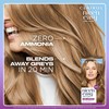 Clairol Nice'n Easy Tone+Gloss Semi Permanent Hair Dye - 700/91