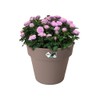 elho Green Basics Top Planter 30 - Flower Pot for