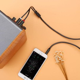 UGREEN 3.5mm Male to 2RCA Male Cable 5M (10513)