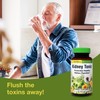 Herbs, Etc. Kidney Tonic Softgels - Function Supplement - Natural
