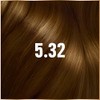 Garnier Garnier GOOD Permanent Hair Dye, 100% Grey Coverage, Ammonia-Free,