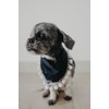 Bandana con Pompon XUXO, Elegante Accesorio para tu Mascota, Estilo
