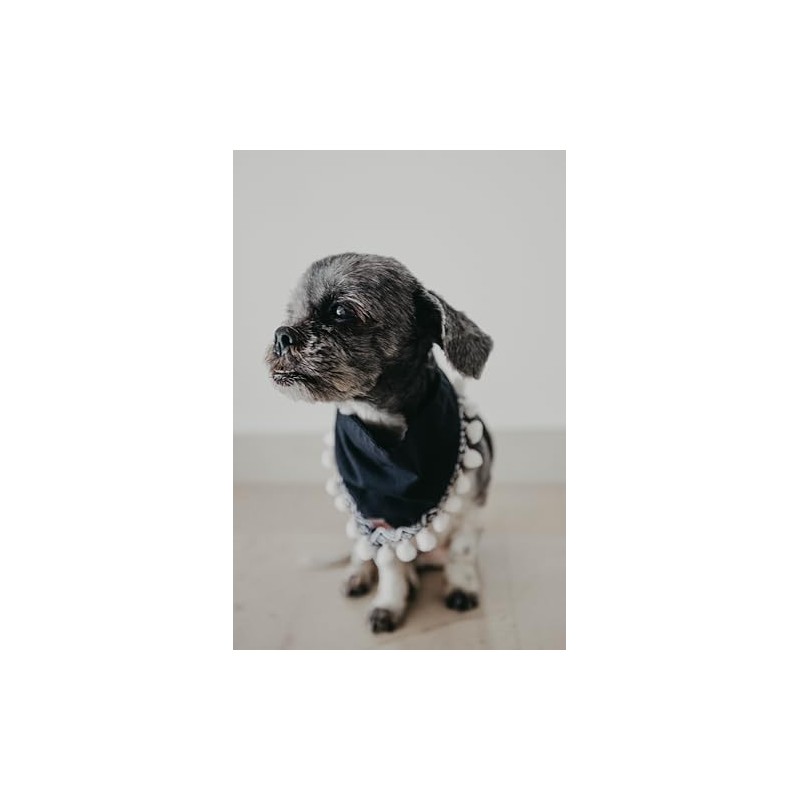 Bandana con Pompon XUXO, Elegante Accesorio para tu Mascota, Estilo