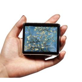 DingRound Silver Vintage Pill Box 7 Day Metal Pill Box with Mirror and 8 Compartments Cute Travel Pill Organizer for Purse (Art Almond Blossoms)