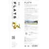 FLATS Dragon 133 Yellow Cardboard Craft Kit
