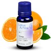 Lotus Aroma Essential Oil, Orange, 0.5 Fluid Ounce