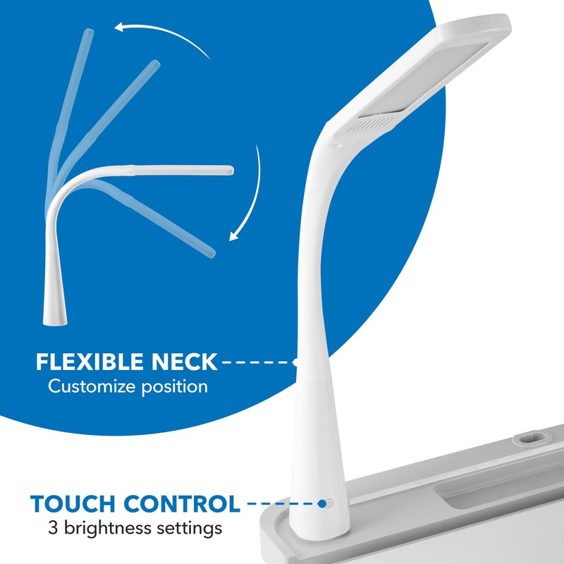 Mount-It! Accessory Kit for Height Adjustable-Kids-Desk | Includes LED-Lamp, Book