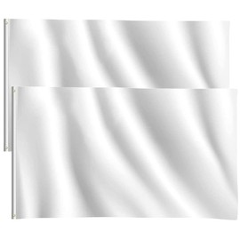 2pcs Blank White Flags DIY 5ft x 3ft Banners Pennant Double Stitched Vivid Color Plain Flags Polyester Decoration for Garden Room Game Parade Sport Events Festival Party 90 X 150cm with Brass Grommets