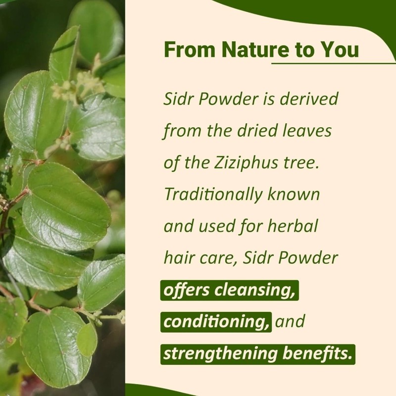 minature Sidr Powder by mi nature | 227g (8oz) (0.5
