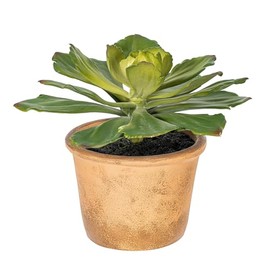 Vickerman Everyday 9" Indoor Artificial Pre-Made Succulent Plant - Paper Pot - Exotic Greenery for Home or Office - Maintenance Free