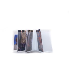 Big Skinny Plastic Photo Sleeve Insert for Super Skinny Slim Wallet, Clear