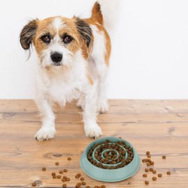 Relaxdays Anti Sling Bowl, Feeding Bowl for Dogs, Pet Bowl 400 ml, Slow Eating, Dog Bowl Dishwasher Safe, Blue, 4 x 21 x 21 cm