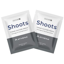 Athena Shoots Culture Media (10 pk) (125ml)