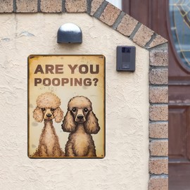 TopPacific 12x8 inches Poodle "Are You Pooping?" Funny Tin Signs, Bathroom Wall Decor(92)