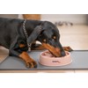 Smarty Life - Interactive Windmill Slow Feeder Bowl - Dog