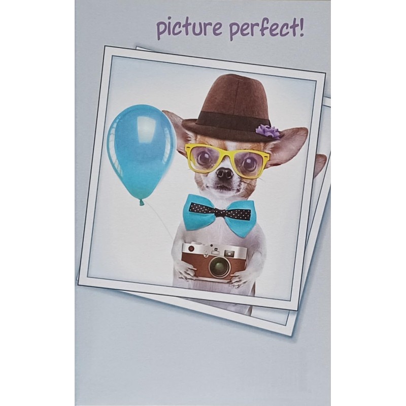 Greeting Card Hope Your Birthday Is Picture Perfect with Chihuahua