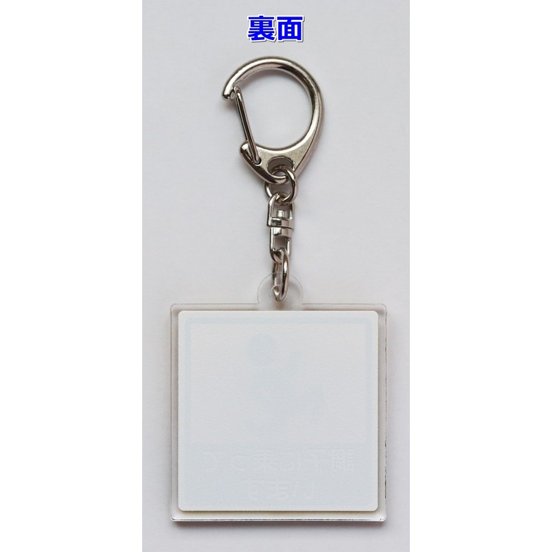 [SunAge] Rabbit in House Pictogram Funny Keychain Key Ring Acrylic