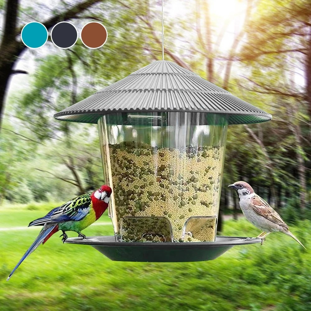 hanging bird feeder outdoor