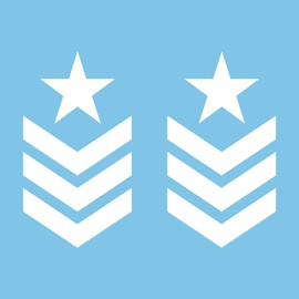 Autodomy 4x4 Sticker Offroad Army Star Military Star US Army 2 Pieces Car Sticker Tuning Weatherproof and UV Resistant 23 x 12.7 cm (White)