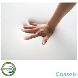 Coaseb 1-Pack of 4" x 28" x 28" High Density Upholstery Foam (Chair Cushion Square Foam for Dining Chairs, Wheelchair Seat Cushion Replacement)