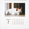 Greeting Life 2026 Calendar Natsuhiko Family Wall Hanging C-1741-NA
