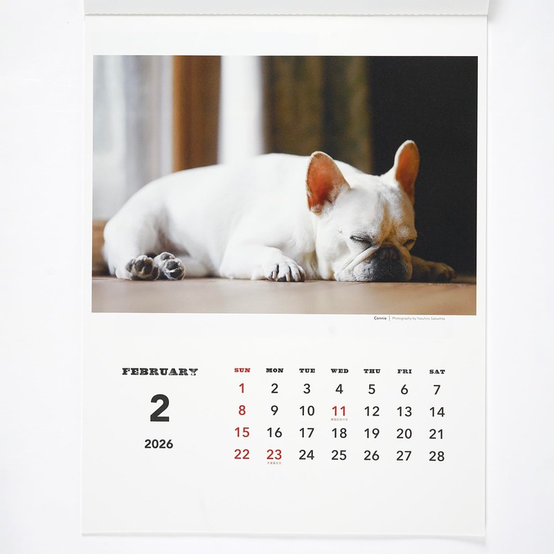 Greeting Life 2026 Calendar Natsuhiko Family Wall Hanging C-1741-NA