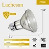 Lachesan PAR20 Flood 39W 120V 480 Lumens Flood Light Bulbs,