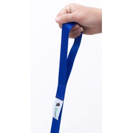Maximum Pet Products 80ft Blue Dog Training Lead