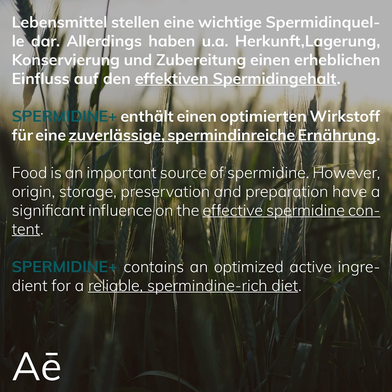 SPERMIDIN Plus High Dosage - Wheat Germ Extract in Optimised