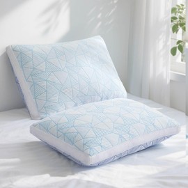 Paxavofa Shredded Memory Foam Cooling Soft Bamboo Viscose Pillows Queen Size Set of 2, Adjustable Hypoallergenic Hotel Quality Pillows for Side, Back or Stomach Sleeper, Oeko-TEX Certified