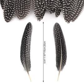 Mwoot Pack of 20 Natural Decoration Pheasant Feathers, 15-20 cm Long, Polka Dot Feathers, Ideal for Costumes, Hats, Crafts, Home Decor, DIY