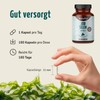 Iodine Selenium Capsules (Pack of 180) | 100 μg Iodine