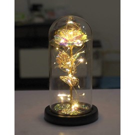 Cúpula de Cristal con Rosa encantada para Siempre diseño de La Bella y la Bestia, Rosa Flower de lámina Oro 24 Quilates con Luces LED, romántico Regalo para Novia,San Valentín, Navidad (Dorado)