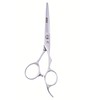 ShearsDirect Japanese Premium VG-10 Stainless Pro Styling Shear with Ergonomic
