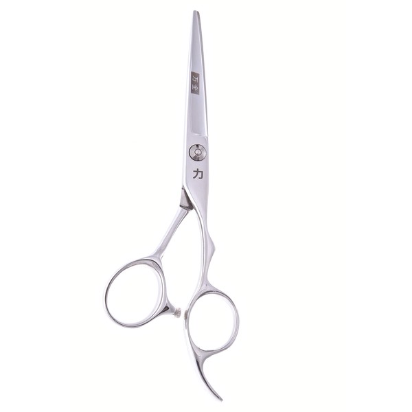 ShearsDirect Japanese Premium VG-10 Stainless Pro Styling Shear with Ergonomic