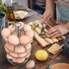 Flexzion Spiral Egg Rack for Fresh Eggs - Sturdy Silver