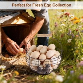 Farmhouse Egg 8'' Basket for Gathering Fresh Eggs, Wire Egg Basket