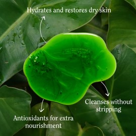 California Naturals Super Moisture Body Wash, Gentle Shower Gel Cleanser for Dry, Sensitive Skin, Moisturizing & Hydrating, Natural, Vegan, Paraben & Sulfate Free Body Moisturizer, 16.5 fl oz