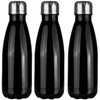 Stainless Steel Drinking Bottle - Set of 3 Bottles -