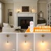 Shenmoyl Battery Operated Wall Sconce with Clear Tulip Shade Pattern