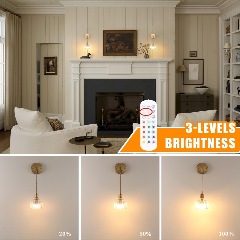 Shenmoyl Battery Operated Wall Sconce with Clear Tulip Shade Pattern