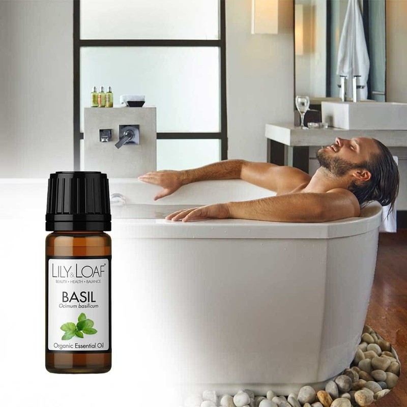 Lily & Loaf Basil Organic Essential Oil (Ocimum basilicum SSP
